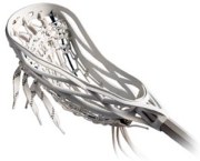 A lacrosse stick head
